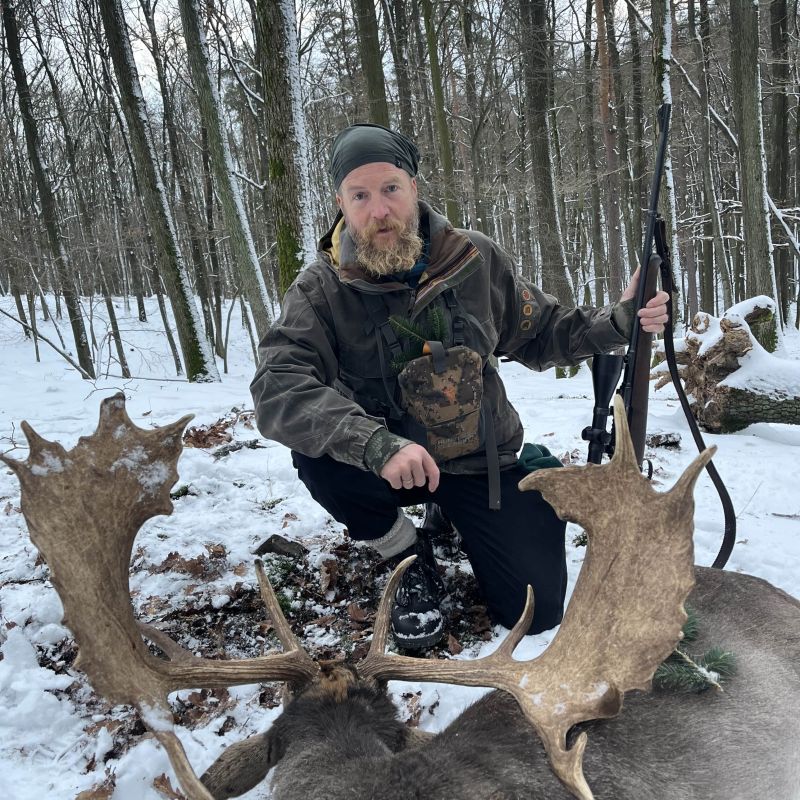 Fallow deer