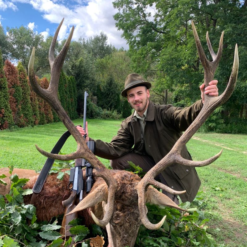 Red deer